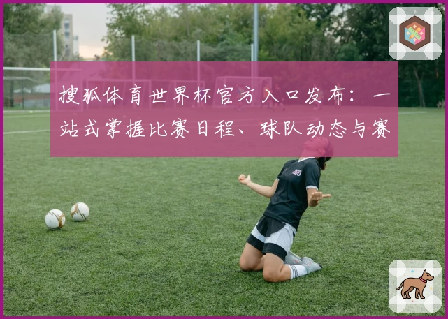 搜狐体育世界杯官方入口发布：一站式掌握比赛日程、球队动态与赛事亮点