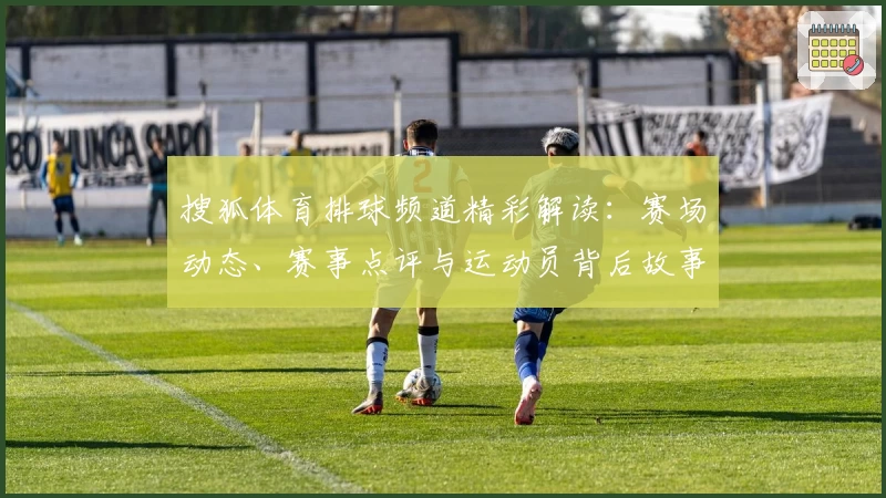 搜狐体育排球频道精彩解读：赛场动态、赛事点评与运动员背后故事全覆盖