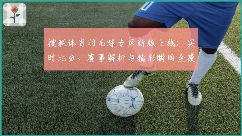 搜狐体育羽毛球专区新版上线：实时比分、赛事解析与精彩瞬间全覆盖