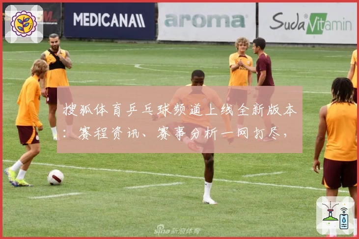 搜狐体育乒乓球频道上线全新版本：赛程资讯、赛事分析一网打尽，新手入门必看指南