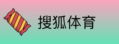 搜狐体育 Logo